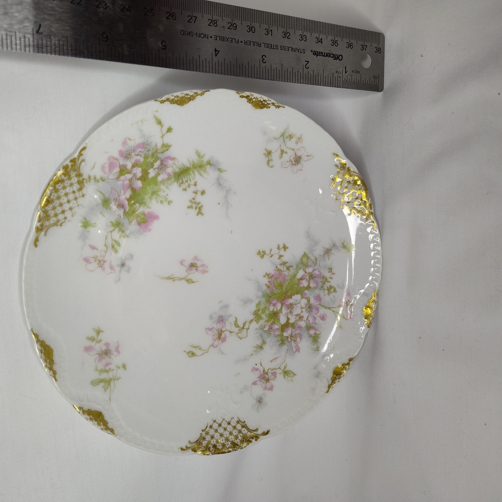 BEAUTIFUL Antique Theodore Haviland Limoges Plate, Late 1800s - Picture 3 of 5